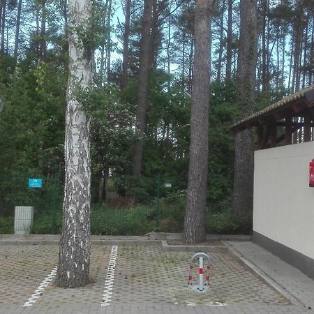 Baltic Apartament Поберово Экстерьер фото